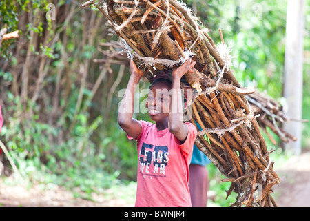 Mädchen tragen Bündel Holz in Nairobi, Kenia Stockfoto