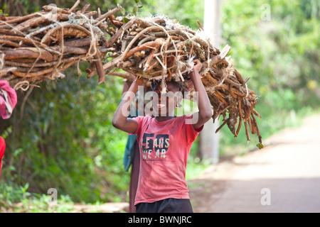 Mädchen tragen Bündel Holz in Nairobi, Kenia Stockfoto