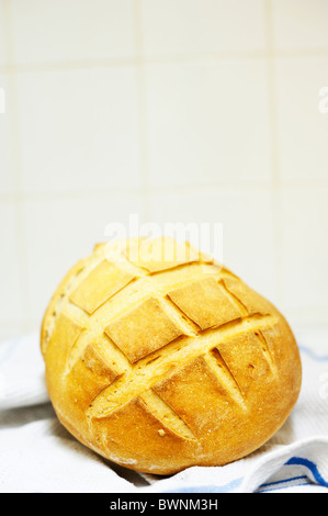 Ein rundes Laib frisch gebackenes knuspriges Sauerteig Brot ruht auf einem blau-weißen Küchentuch. Stockfoto