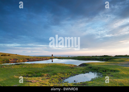 Pool auf Dartmoor im Abendlicht, Devon UK Stockfoto