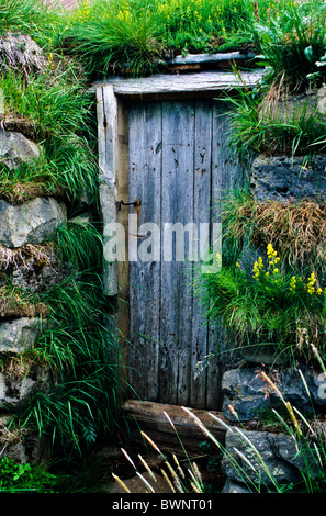 Historische alte, verwitterte Tür schließen oben mit Grassoden Isolierung, Kühllager Gebäude auf einer Farm in Island, Europa, Gartenhaus einzigartige Türen Stockfoto