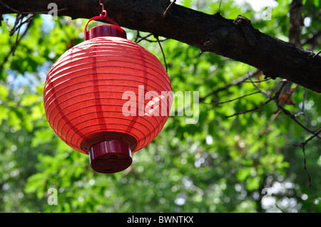 chinesische Lanturns Party im freien Stockfoto