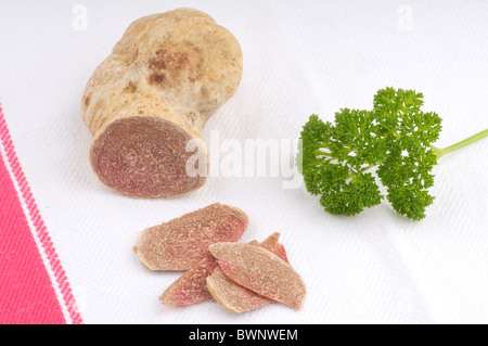 Frische weiße Trüffel aus der Toskana Stockfoto