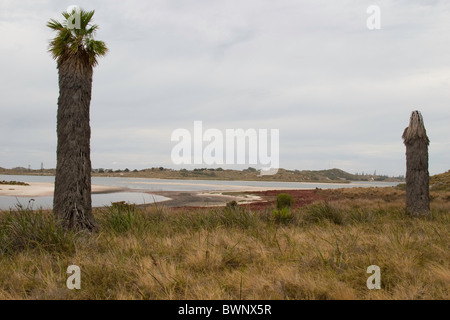 Ein Blick über eines der Salzseen auf Rottnest Island Stockfoto