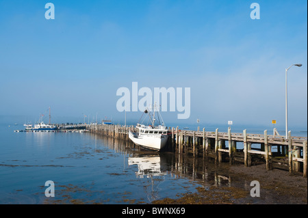 Anlegestelle für Fischerboote, St. Andrews, New Brunswick, die maritimes, Kanada. Stockfoto