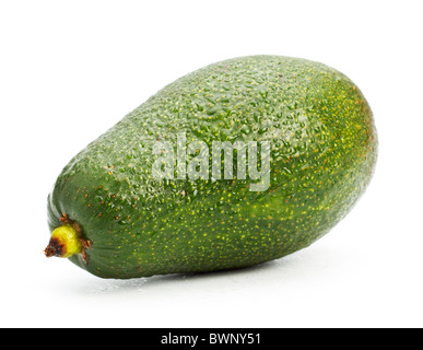 einzelne Avocado isoliert auf weiss Stockfoto