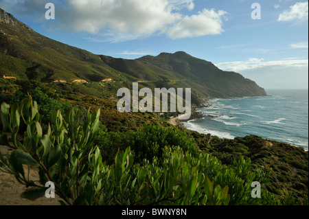 Chapmans Peak Drive durch Vegetation entlang der Halbinsel schneiden, an der Küste von Cape Town, Western Cape, Südafrika, Landschaft, Stadt Stockfoto