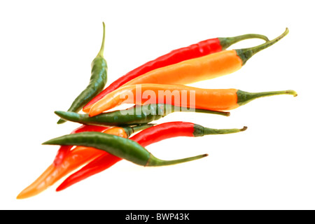 Frisches rohes Ungekocht bunte Hot spicy thai Chilis Zutaten zum Kochen Isoliert gegen einen weißen Hintergrund mit Freistellungspfaden und keine Leute Stockfoto