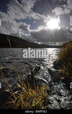 Llyn Geirionydd Seenplatte Aberconwy North Wales UK Stockfoto