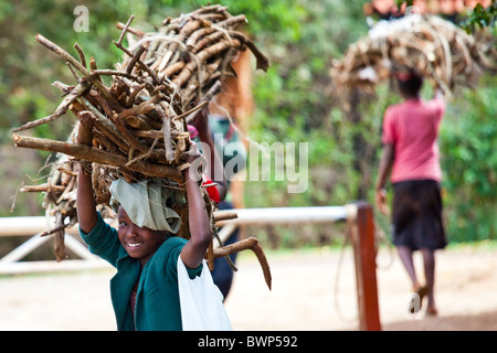 Mädchen tragen Bündel Holz in Nairobi, Kenia Stockfoto