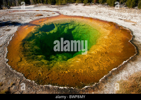 Yellowstone wunderschön gefärbten und unglaubliche Morning Glory Pool Stockfoto