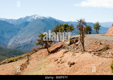 Straße und Blick auf das Atlasgebirge in Marokko Stockfoto