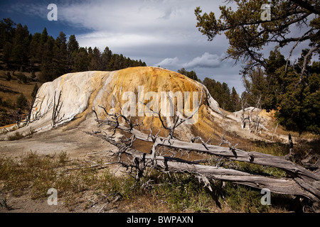 Mammut Orange Spring Mound im Yellowstone National Park - USA Stockfoto