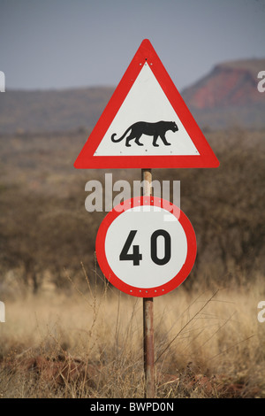 Namibia Afrika Okonjima Sommer 2007 Straße Zeichen Warnung Leopard wilde Tier Tempolimit wildli Stockfoto