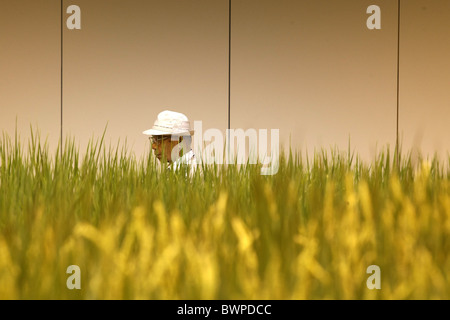 Tokio (Japan): Pasona Konzernzentrale: Urban Farm Pasona Stockfoto