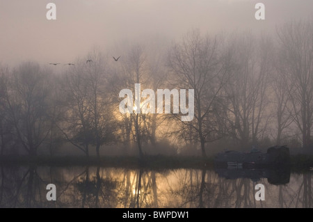 Letzter Flug endlich Licht, Sonning on Thames, Berkshire, UK Stockfoto