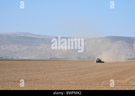 Israel, Hula-Tal, Traktor Pflüge und Kassen ein Feld Stockfoto