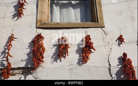 Türkei Aydin Provinz Kusadadsi Stockfoto