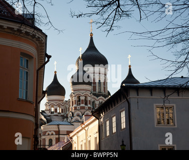 Griechisch-orthodoxe Kathedrale von Alexander Nevsky in Tallinn Estland über den Wipfeln der alten Häuser und die Stadtmauer Stockfoto