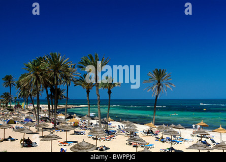 Tunesien Djerba Insel Zarzis Oase Afrika Nordafrika Mittelmeer Küste Insel Palmen Strand umbre Stockfoto