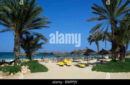 Tunesien Djerba Insel Zarzis Oase Afrika Nordafrika Mittelmeer Küste Insel Palmen Strand umbre Stockfoto