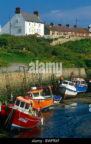 Blick auf Seaton Schleuse Hafen mit festgemachten Boote, Northumberland Küste Stockfoto