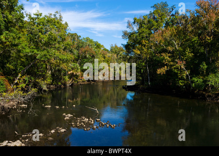 Flusses Aucilla aus US98 in der Nähe von Perry im nördlichen Florida, USA Stockfoto