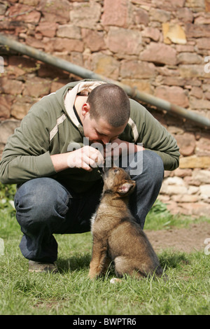 Mann und Mischling Welpen Stockfoto