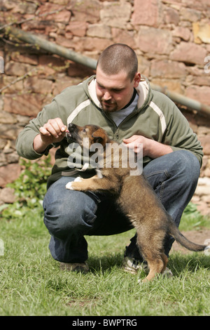 Mann und Mischling Welpen Stockfoto