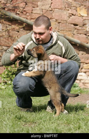 Mann und Mischling Welpen Stockfoto