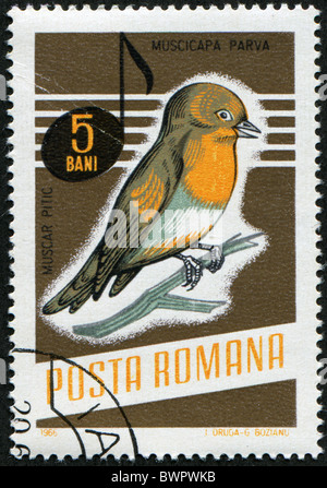 Rumänien - ca. 1966: Eine Briefmarke gedruckt in Rumänien zeigt Red-breasted Flycatcher - Muscicapa Parva, ca. 1966 Stockfoto