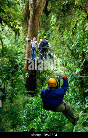 DSCHUNGEL-CANOPY-TOUR IN MONTEVERDE NEBELWALD. PROVINZ PUNTARENAS. Costa Rica Stockfoto