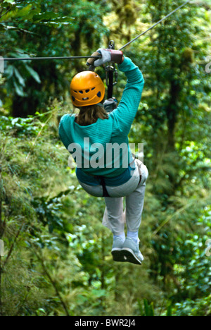 DSCHUNGEL-CANOPY-TOUR IN MONTEVERDE NEBELWALD. PROVINZ PUNTARENAS. Costa Rica Stockfoto