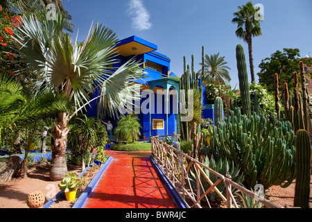 Der Jardin de Majorelle Gärten in Marrakesch, Marokko. Stockfoto