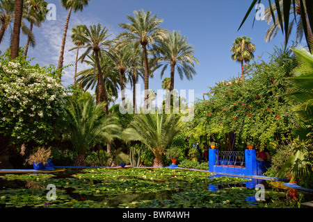 Der Jardin de Majorelle Gärten in Marrakesch, Marokko. Stockfoto