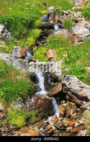 Schweiz Europa Sustenpass Bereich Bergsommer Berner Oberland Kanton Bern Berner Alpen Alpen Stockfoto