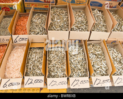 Kleine getrocknete Fische zu verkaufen, Gyeongdong Markt, Arzneimittelmarkt, Seoul, Südkorea Stockfoto