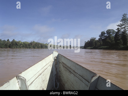 Malaysia-Borneo Insel Südostasien Bundesstaat Sabah Kinabatangan Fluss Boot Reisen Abenteuer Expedition T Stockfoto