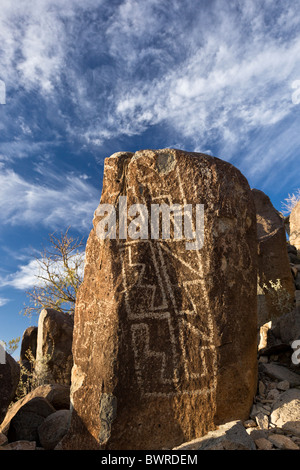 Petroglyph mit geometrischen Mustern durch den Native American Jornada Mogollon am Three Rivers Petroglyph Site, New Mexico USA. Stockfoto