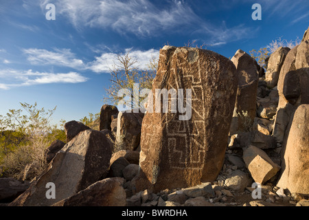 Petroglyph mit geometrischen Mustern, die von der Jornada Mogollon am Three Rivers Petroglyph Site, New Mexico USA erstellt. Stockfoto