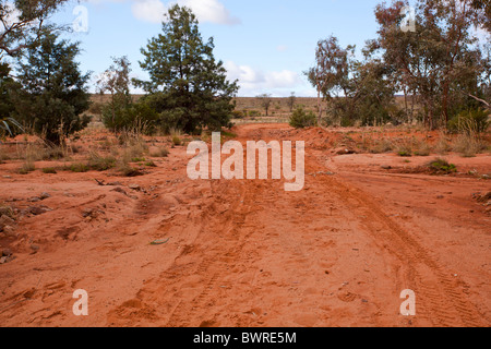 Roter Sand auf dem alten Trainer Weg, Mutawintji National Park, New-South.Wales, Australien Stockfoto