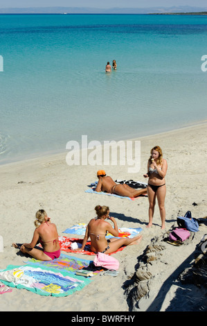 Strand Capo del Falcone in der Nähe von Stintino, Sardinien, Italien Stockfoto