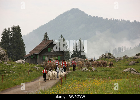 Schweiz Europa Schwagalp Outdoor Outdoors Outside Landschaft Alpin Alpen Berge Bergkanton Appen Stockfoto