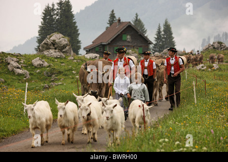 Schweiz Europa Schwagalp Outdoor Outdoors Outside Landschaft Alpin Alpen Berge Bergkanton Appen Stockfoto