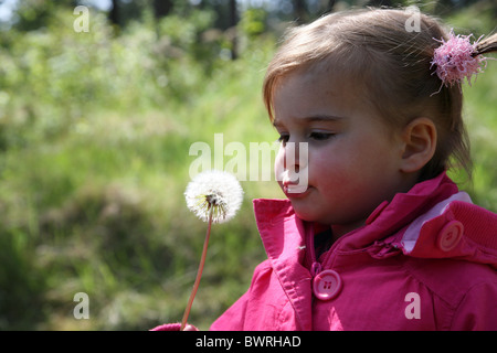 Junges Mädchen bläst Samen Federn von Löwenzahn, Haamstede, Seeland, Niederlande Stockfoto