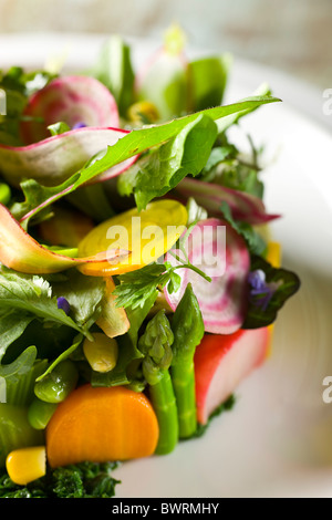 Eine Vielzahl von knackig und zart mit zerkleinerten Kräutern von Tony Esnault, Executive Chef des Adour im The St. Regis New York vorbereitet. Stockfoto