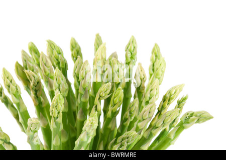 Garbe Spargel auf einem weißen Hintergrund. Stockfoto