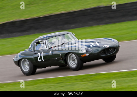 1961 Jaguar E-Type während des Rennens RAC TT Feier. 2010 beim Goodwood Revival Meeting, Sussex, England, UK. Stockfoto