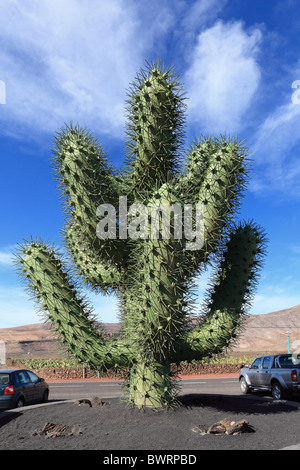 Kaktus Eisenskulptur vor der einen Kaktus Garten, Jardín de Cactus, entworfen von Guatiza, César Manrique, Lanzarote, Spanien Stockfoto