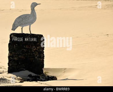 Melden Sie sich vor dem Eingang zum Nationalpark Dünen von Corralejo, Fuerteventura, Kanarische Inseln, Spanien, Europa Stockfoto